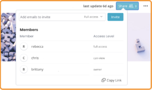 A screenshot of the Klyck Pages app showing the share menu with the different access options that you can provide your users. View only, Edit, or Owner.