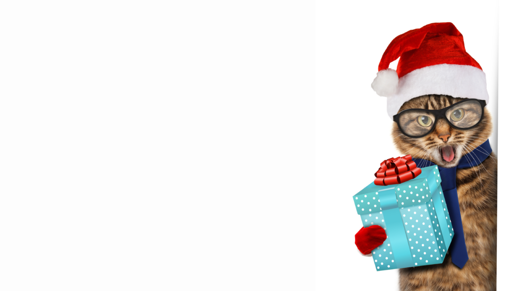 Cat holding a present