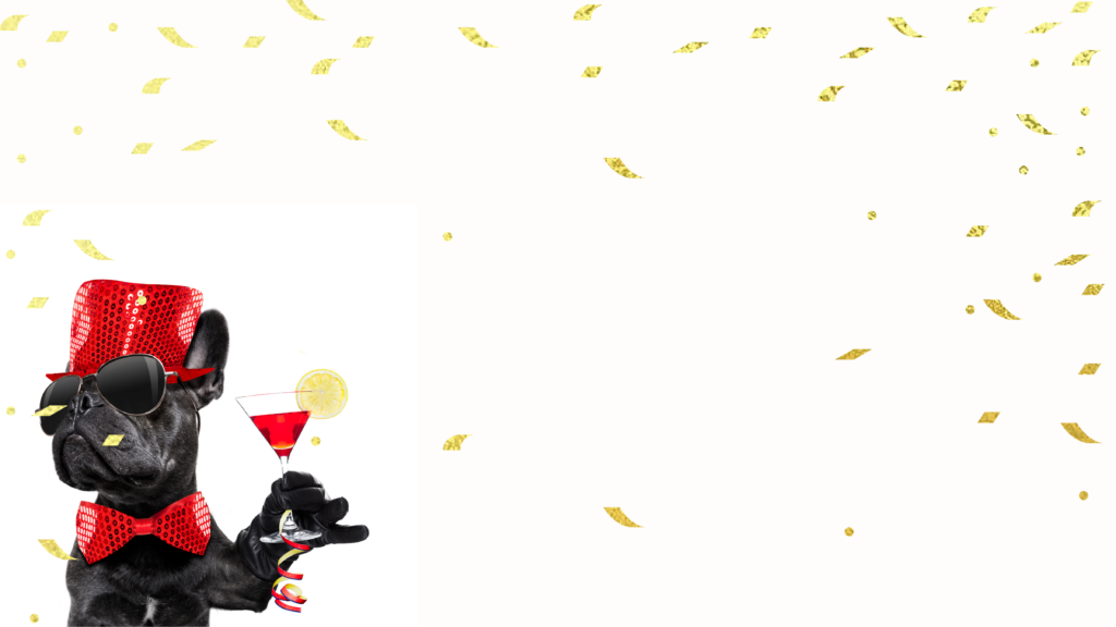 Little dog with confetti and party hat