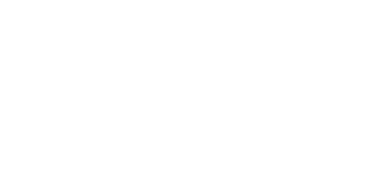 Logo 9